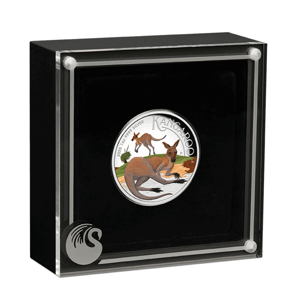 The Australia 2025 Kangaroo 1 oz Silver Proof High Relief Coloured coin, featuring two kangaroos and the word KANGAROO, is displayed upright in a black square case with a clear front and silver swan logo on the lower left.