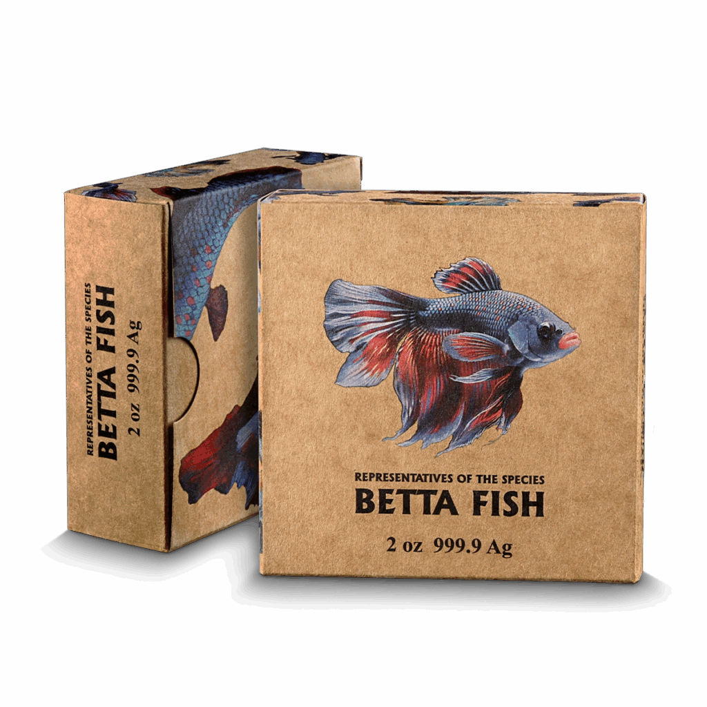Due scatole di cartone con illustrazioni colorate di pesci betta. Sul fronte si legge: Isola di Niue 2024 Pesce Combattente 2 oz Argento Alto Rilievo. Il lato mostra lo stesso testo e parte dell'immagine di un pesce betta.