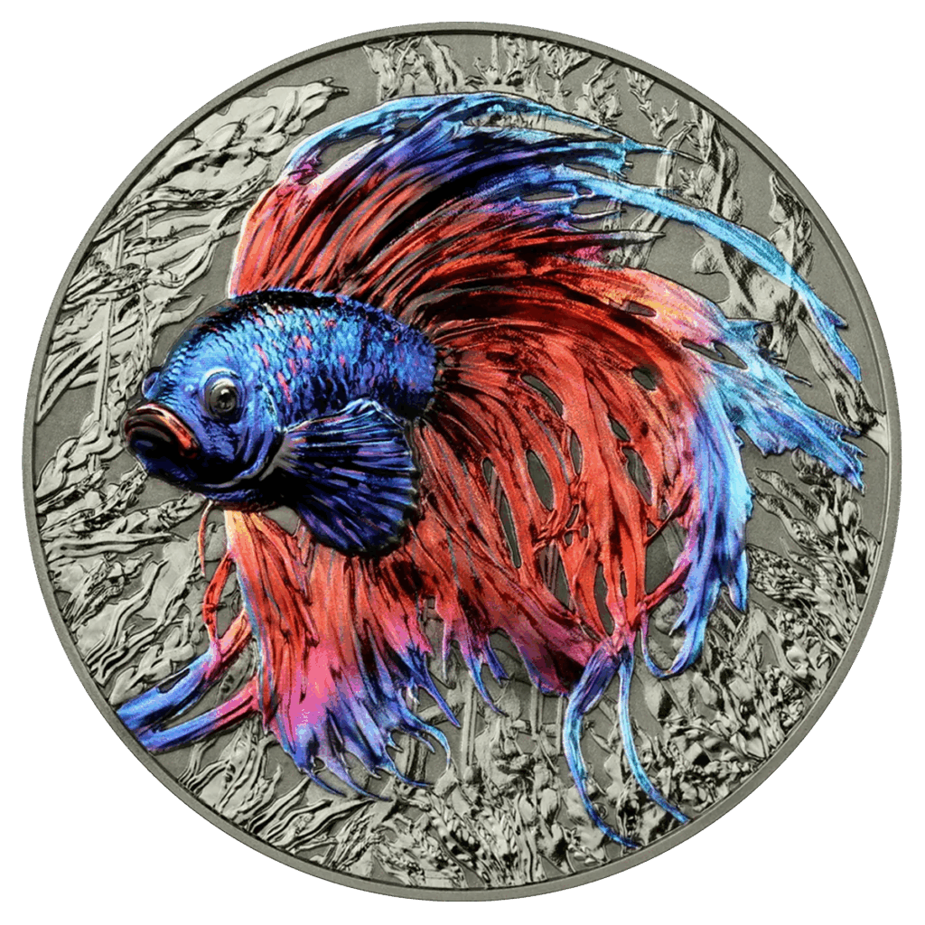 La moneta Isola di Niue 2024 Pesce Combattente 2 oz Argento Alto Rilievo mostra un coloratissimo pesce Betta con pinne blu, viola e rosse su uno sfondo d'argento testurizzato con piante acquatiche.
