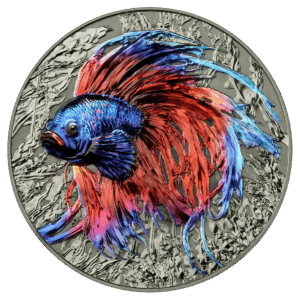 La moneta Isola di Niue 2024 Pesce Combattente 2 oz Argento Alto Rilievo mostra un coloratissimo pesce Betta con pinne blu, viola e rosse su uno sfondo d'argento testurizzato con piante acquatiche.