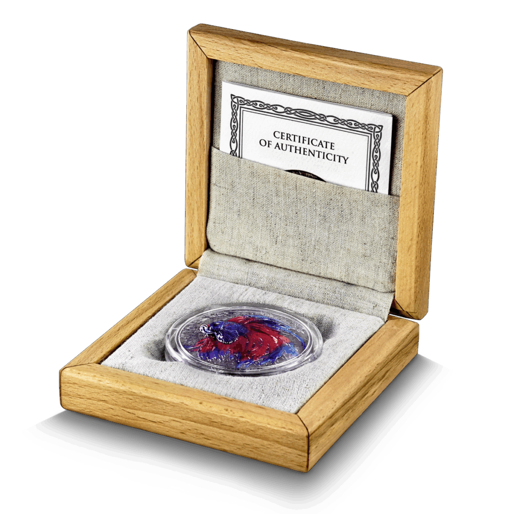 Il cofanetto aperto in legno con interno in tessuto leggero espone la moneta Isola di Niue 2024 Pesce Combattente 2 oz Argento Alto Rilievo, con un certificato di autenticità posto dietro di essa.