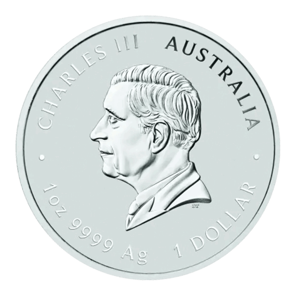 La moneta da 1 oz Lunar III - Anno del Serpente Argento 2025 presenta un profilo di Re Carlo III rivolto verso sinistra e le iscrizioni: CHARLES III AUSTRALIA, 1 oz 9999 Ag e 1 DOLLAR intorno al bordo.